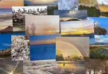 Photo of «Фото-конкурс среди коллектива»