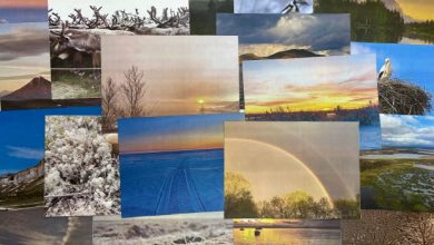 Photo of «Фото-конкурс среди коллектива»