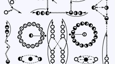 Photo of Игры с использованием физических нагрузок